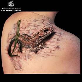 Александр Мосолов, реализм тату, realism tattoo, цветной реализм, цветная татуировка, тату портрет, реалистичная тату, тату на плече, тату ящерица, ящерица