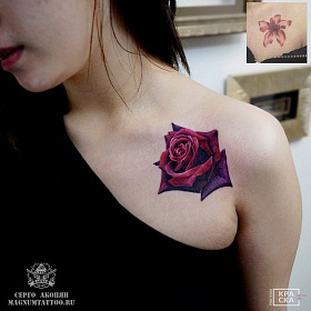 Серго Акопян, реализм тату, realism tattoo, цветной реализм, цветная татуировка, тату портрет, реалистичная тату, тату на плече, тату розы, красные розы, роза на плече, роза