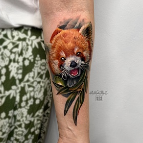 Серго Акопян, реализм тату, realism tattoo, цветной реализм, цветная татуировка, тату зверек, реалистичная тату, тату на руке, тату реализм, тату животное, тату панда