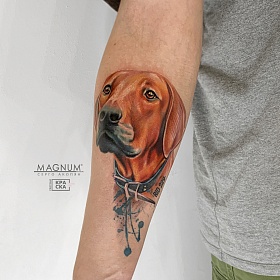 Серго Акопян, реализм тату, realism tattoo, цветной реализм, цветная татуировка, тату портрет, реалистичная тату, тату на руке, тату собака, тату абстракция, dogtattoo