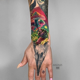 Серго Акопян, реализм тату, realism tattoo, цветной реализм, цветная татуировка, тату портрет, реалистичная тату, тату на руке, тату чб, тату улитка, тату гриб